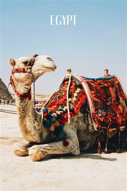 Happy Place-Collage Prints-Nations Photo Lab-Portrait-Nations Photo Lab