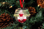 Merry and Bright-Metal Ornaments-Nations Photo Lab-Snowflake-Nations Photo Lab