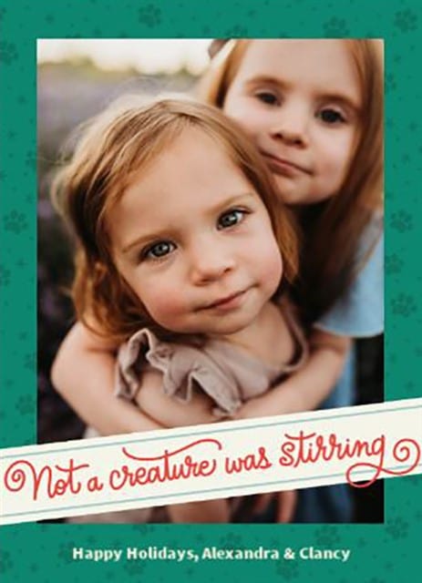 Not A Creature Stirring-Postcards-Nations Photo Lab-Portrait-Nations Photo Lab