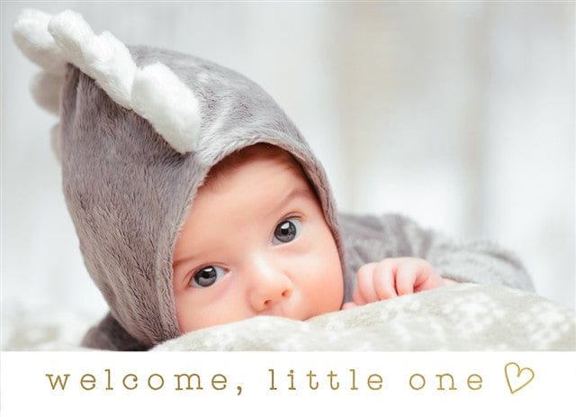 Pride and Joy-Foil Cards-Nations Photo Lab-Landscape-Nations Photo Lab