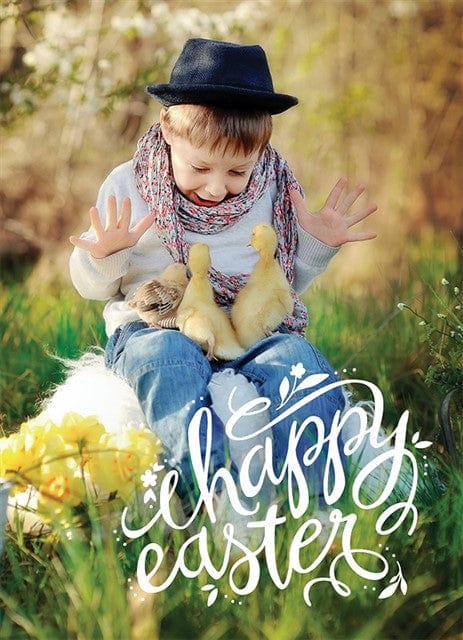 Springtime Pastel-Postcards-Nations Photo Lab-Portrait-Nations Photo Lab