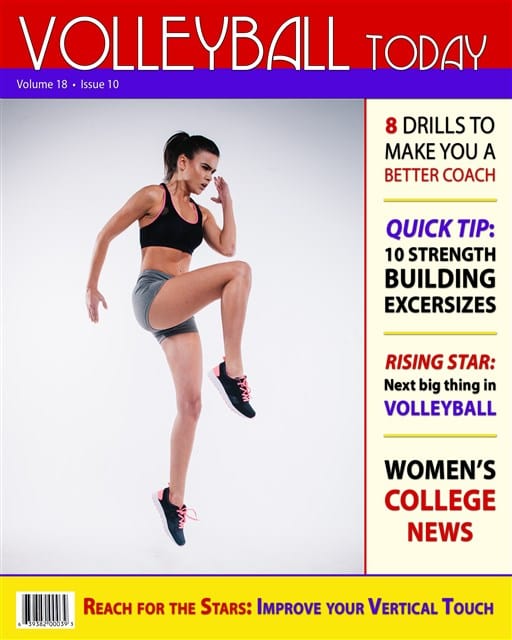 Volleyball 1 Portrait