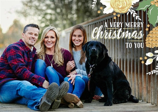 Wintery And Wonderful